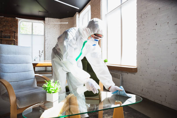 Why You Should Choose Our Mold Remediation Services in Bertram, TX